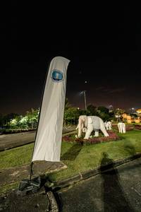 BIB: 
                            <button type="button" onclick="openModal(22791128)" class="btn btn-primary btn-sm float-right btn-popup" data-toggle="modal" data-target=".modal-high-quality">
                        <i class="fas fa-shopping-cart"></i> Add to Cart
                    </button>
                                            <button type="button" onclick="isThisMe(22791128, true)" class="btn btn-success btn-sm float-right btn-popup btn-isme hidden" data-toggle="tooltip" data-placement="bottom" title="นี่คือรูปของคุณใช่ไหม คลิกที่นี่เพื่อเอาเข้าอัลบั้ม">
                        <i class="fas fa-plus"></i> Add to album
                    </button>
                    <button type="button" onclick="isThisMe(22791128, false)" class="btn btn-warning btn-sm float-right btn-popup btn-isnotme hidden">
                        <i class="fas fa-ban"></i> Remove from album
                    </button>